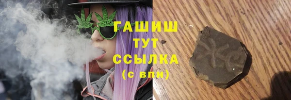 спиды Богородск
