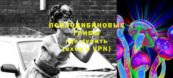 первитин Богородицк