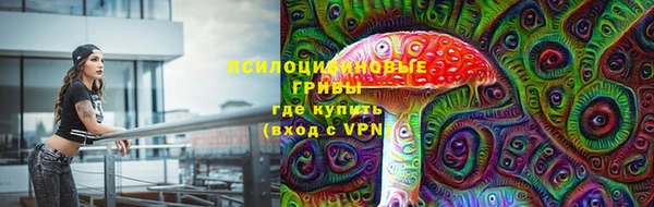 спиды Богородск