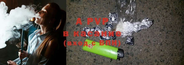 гидра Белокуриха