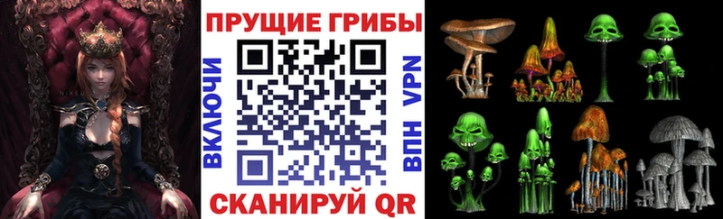 blacksprut   как найти закладки  Дзержинский  Псилоцибиновые грибы прущие грибы 